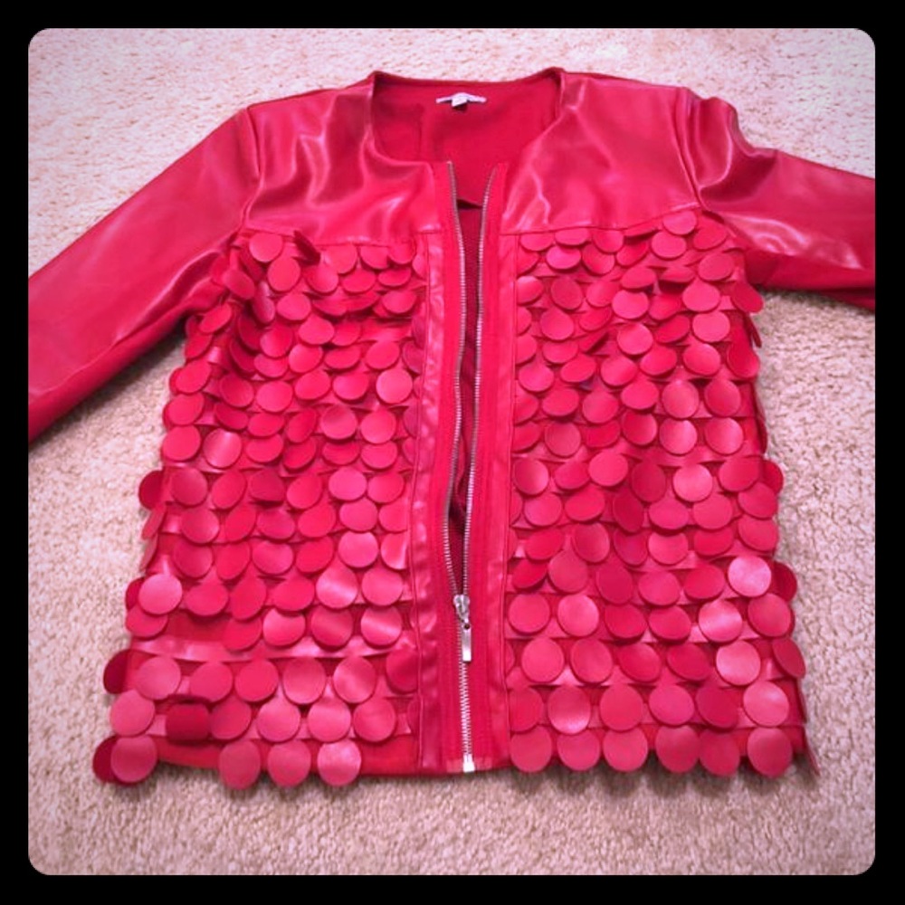 LIKE NEW LINEA DOMANI JACKET SIZE 6 US